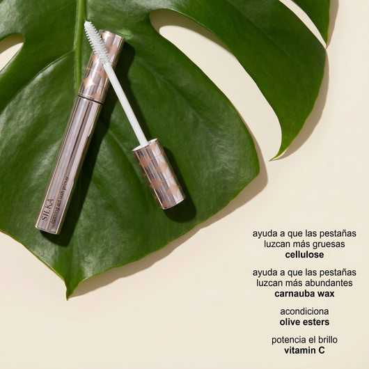 Primer de Pestañas